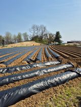 김경형님의 작성글 사진