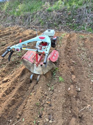 호랑이별님의 기타작물 · 영농일지 작성글 사진
