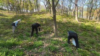 유니거니님의 기타작물 · 영농일지 작성글 사진