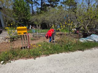 박영애님의 기타작물 · 영농일지 작성글 사진