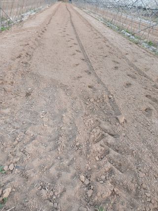 자기왕사랑해님의 고추 · 영농일지 작성글 사진