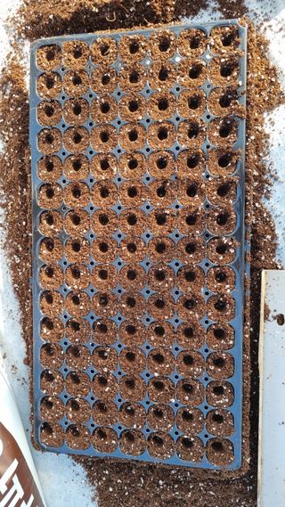 김지철님의 기타작물 · 영농일지 작성글 사진