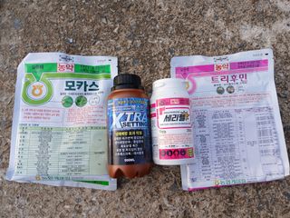 조성민님의 사과 · 영농일지 작성글 사진