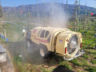 날씨가 흐려 방제가님의 작성글 사진