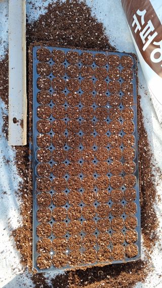 김지철님의 기타작물 · 영농일지 작성글 사진