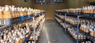 오●석님의 기타작물 · 영농일지 작성글 사진