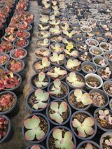 신상섭님의 작성글 사진