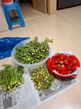 결단이님의 작성글 사진