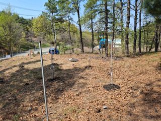 헤이쥬회원님의 기타작물 · 영농일지 작성글 사진