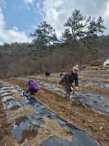 팜모닝 기타작물·영농일지 게시글 이미지