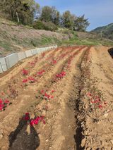 조민서님의 작성글 사진
