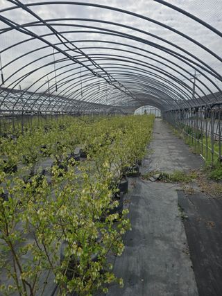 축복농장님의 작성글 사진