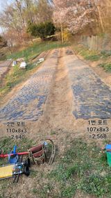 서초농원님의 작성글 사진