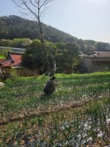 김성환님의 작성글 사진