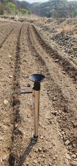 초보농부님의 작성글 사진