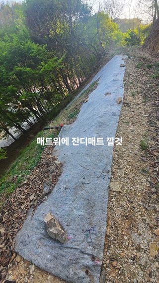 유니거니님의 작성글 사진