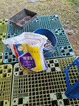 팜모닝 기타작물·영농일지 게시글 이미지