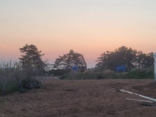 이용찬 열매마농원님의 기타작물 · 영농일지 작성글 사진