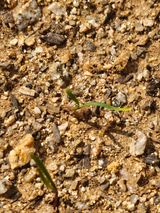 우진수님의 작성글 사진