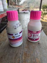 팜모닝 기타작물·영농일지 게시글 이미지