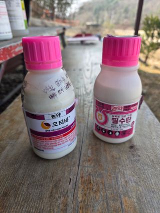 정영순님의 기타작물 · 영농일지 작성글 사진