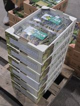 플러스밸류님의 작성글 사진