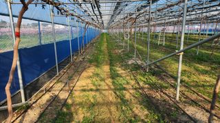 최율구님의 작성글 사진