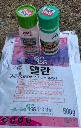 철남 김희곤님의 복숭아 · 영농일지 작성글 사진