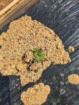 우진수님의 작성글 사진