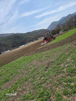 팜모닝회원 바이크농원님의 기타작물 · 영농일지 작성글 사진