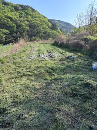 서수원님의 기타작물 · 영농일지 작성글 사진