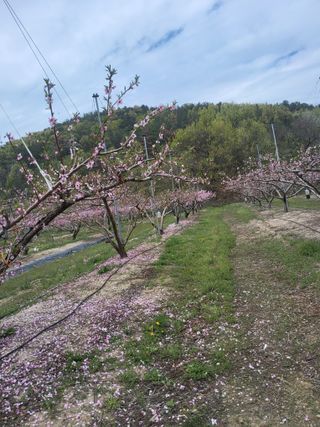 ahnda님의 기타작물 · 영농일지 작성글 사진