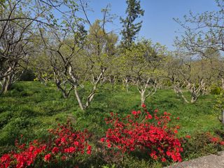 박영애님의 기타작물 · 영농일지 작성글 사진