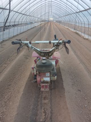 자기왕사랑해님의 고추 · 영농일지 작성글 사진