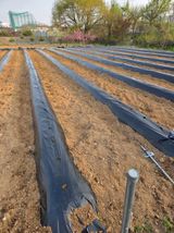 김연숙님의 작성글 사진