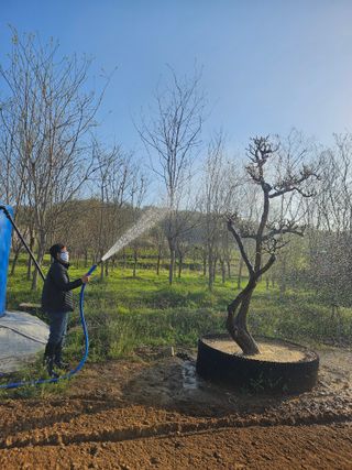 상추22033님의 기타작물 · 영농일지 작성글 사진