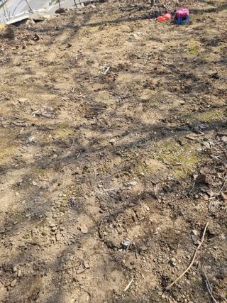 김용대님의 기타작물 · 영농일지 작성글 사진