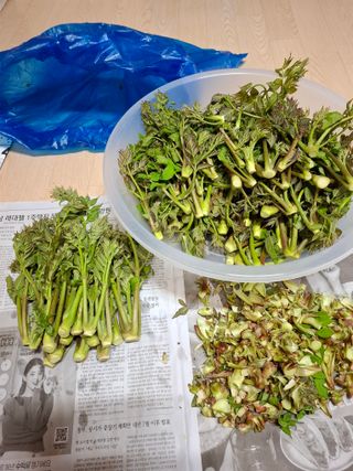 결단이님의 기타작물 · 영농일지 작성글 사진