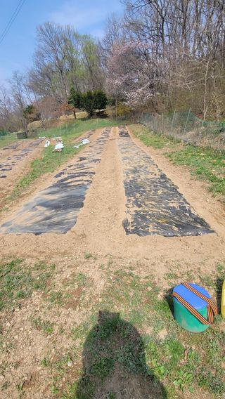 서초농원님의 작성글 사진