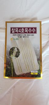 초보농부님의 작성글 사진