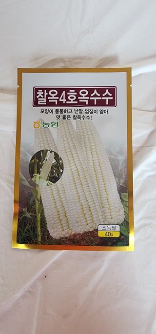 초보농부님의 옥수수 · 영농일지 작성글 사진