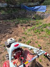 팜모닝 기타작물·영농일지 게시글 이미지