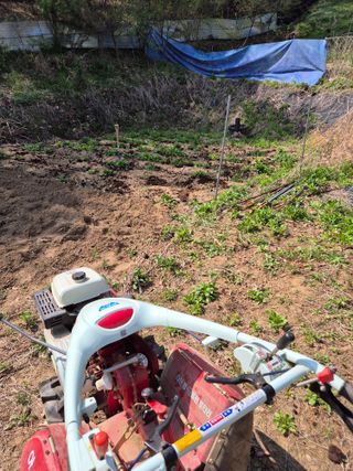 호랑이별님의 기타작물 · 영농일지 작성글 사진