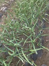 정영순님의 작성글 사진