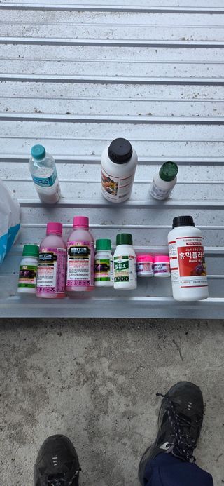 시나노골드님의 사과 · 영농일지 작성글 사진