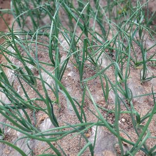 김춘성님의 작성글 사진