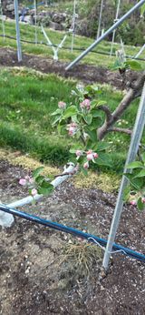 시나노골드님의 작성글 사진