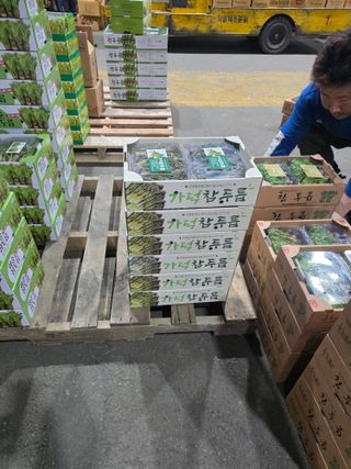 플러스밸류님의 두릅 · 영농일지 작성글 사진