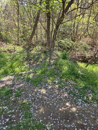 박영애님의 기타작물 · 영농일지 작성글 사진