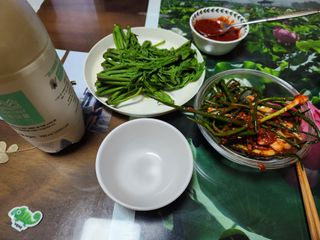 꿀복이농장님의 고추 · 영농일지 작성글 사진